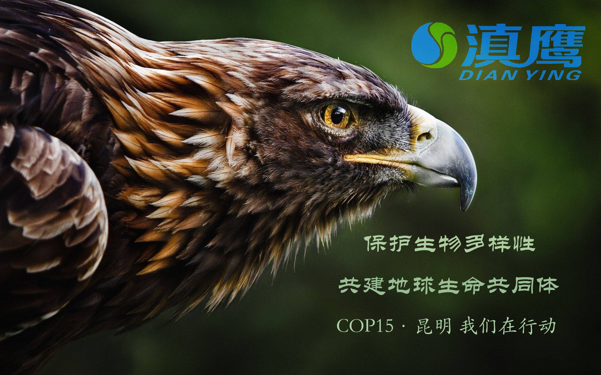 讓綠水青山永續，讓美麗持續綻放